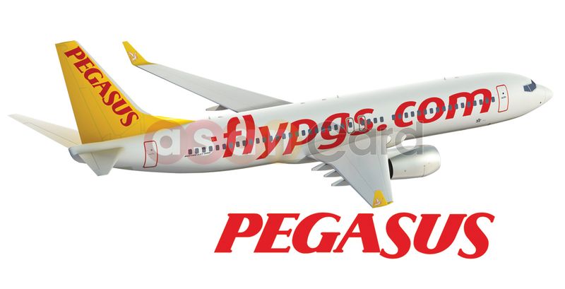 خرید بلیط از هواپیمایی پگاسوس | آسان کارت